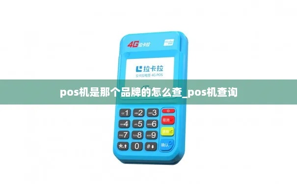 怎么查旗下pos机（POS机具查询方法）
