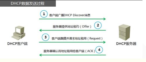 POS机显示DHCP怎么解决,POS机连接网络故障排除指南