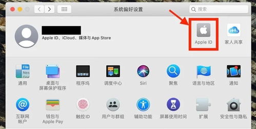 POS机显示DHCP怎么解决,POS机连接网络故障排除指南