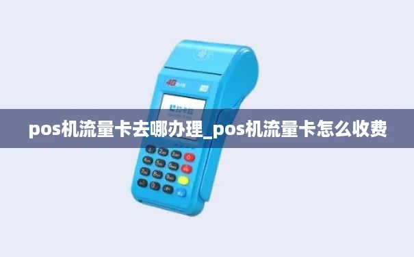POS机流量卡丢失应该如何处理（POS机流量卡丢失后该如何补办）
