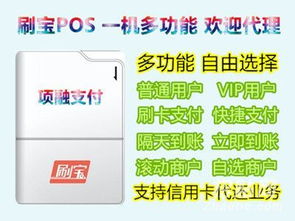 乐刷pos机怎么输入文字（详细操作指南）