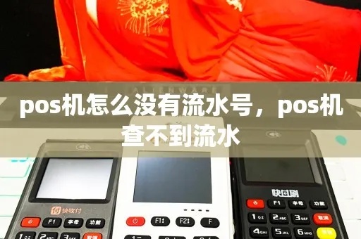 POS机为什么没有流水号（解决POS机无法生成流水号的问题）