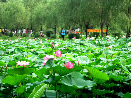 POS机第一次怎么用（新手使用指南）
