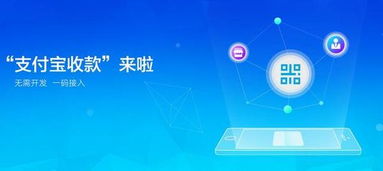POS机如何添加支付宝,POS机支付宝收款设置教程
