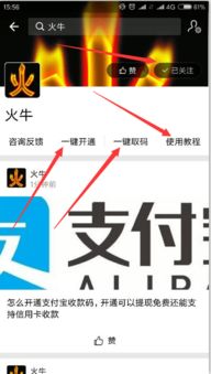 POS机如何添加支付宝,POS机支付宝收款设置教程