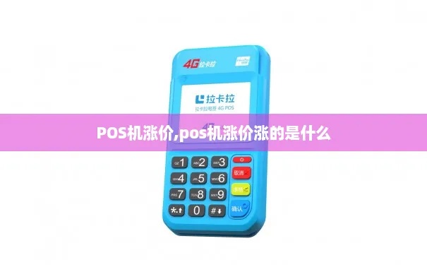 POS机涨价如何应对,POS机涨价后的处理方法