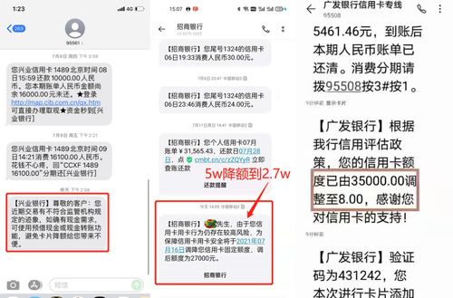 POS机限额如何查询（POS机使用限额查询方法）