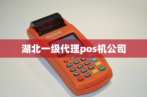 湖北一清机POS机办理价格及案例解析