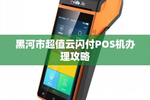 黑河个人POS机办理全攻略，轻松上手，高效支付