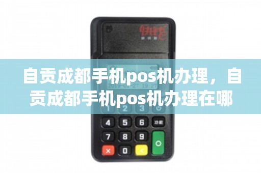 自贡个人POS机办理全攻略，轻松上手，便捷支付