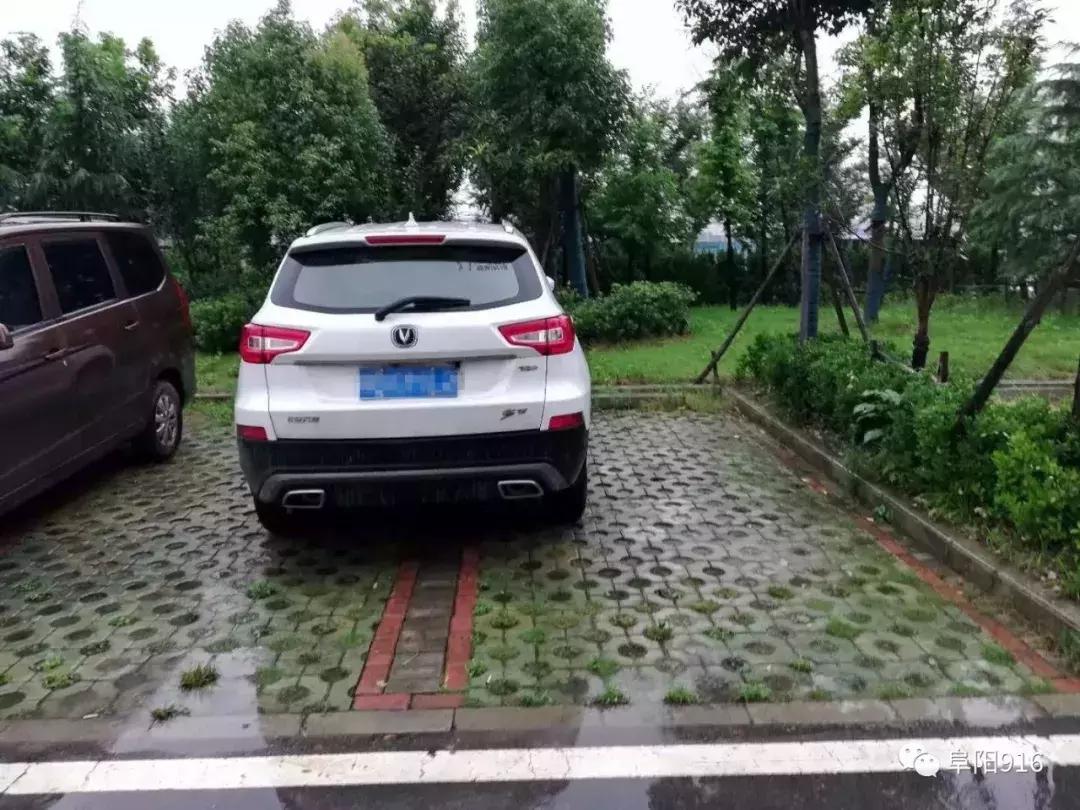 阜阳POS机办理流程详解，一步步教你如何申请
