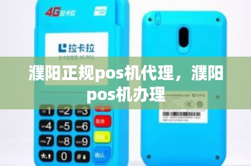 濮阳移动POS机办理全攻略，轻松申请，高效支付