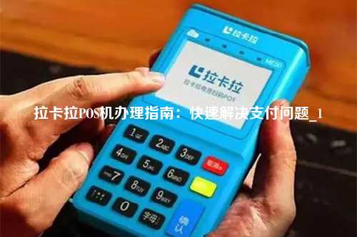 拉卡拉POS机办理全攻略，流程、要点与案例详解