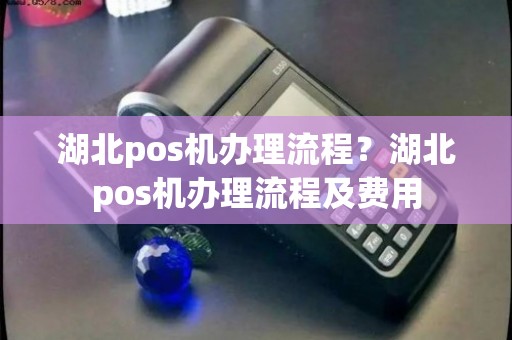 湖北免费POS机办理全攻略，轻松上手，高效收款