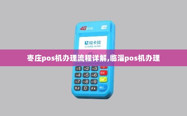 薛城POS机办理全攻略，流程、要点与案例详解