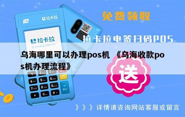 吉木萨尔POS机办理全攻略，轻松上手，高效支付