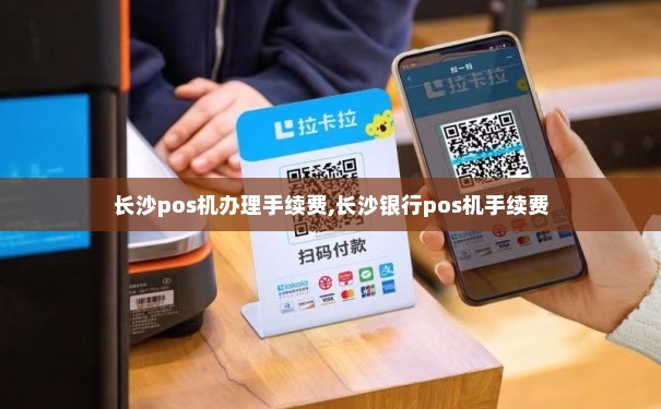 长沙POS机个人办理全攻略，轻松上手，高效支付