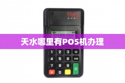 天水个人POS机办理全攻略，轻松上手，便捷支付