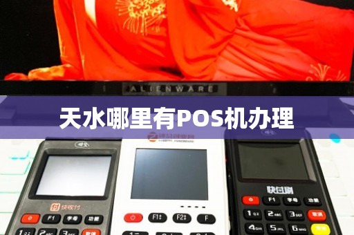天水个人POS机办理全攻略，轻松上手，便捷支付