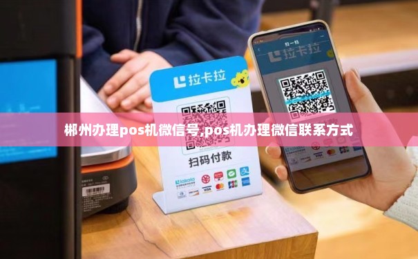 郴州电银信息POS机办理指南