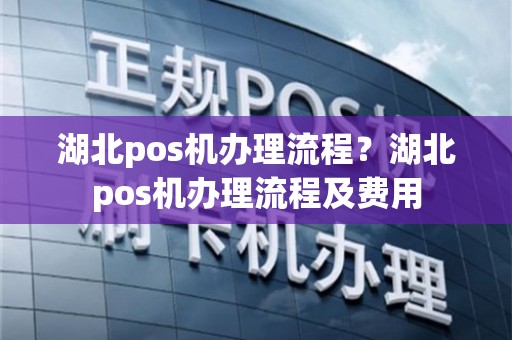 湖北个人POS机办理全攻略，轻松上手，便捷支付