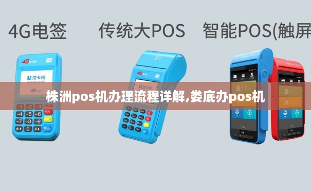 株洲个人办理POS机全攻略，轻松上手，便捷支付