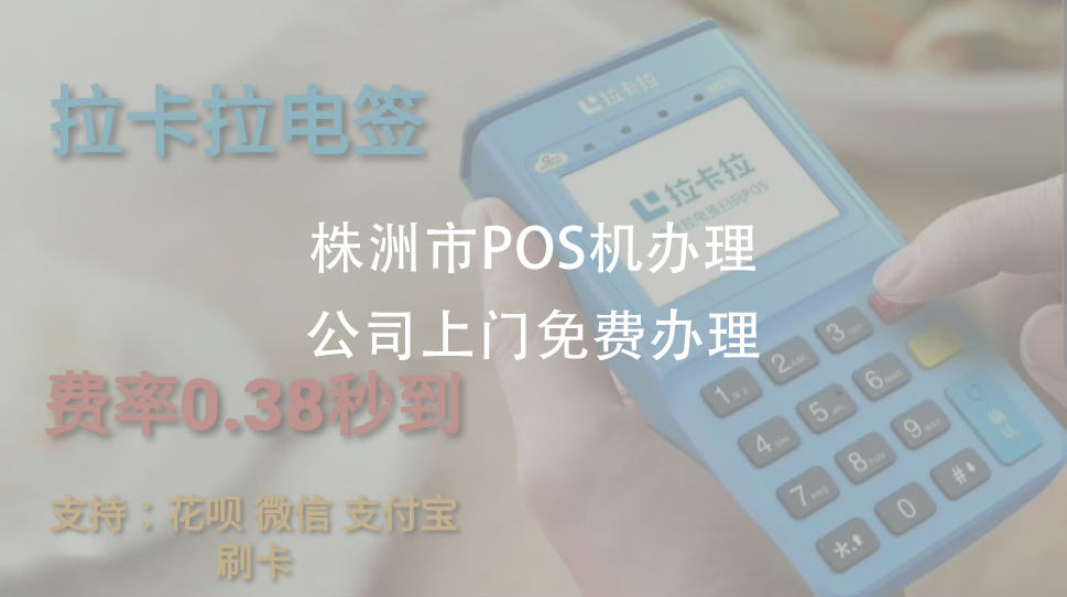 株洲个人办理POS机全攻略，轻松上手，便捷支付