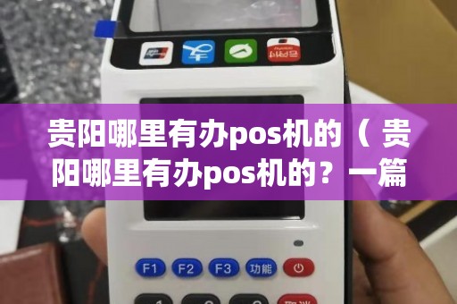 贵阳个人办理POS机全攻略，轻松上手，高效收款