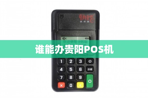 贵阳个人办理POS机全攻略，轻松上手，高效收款