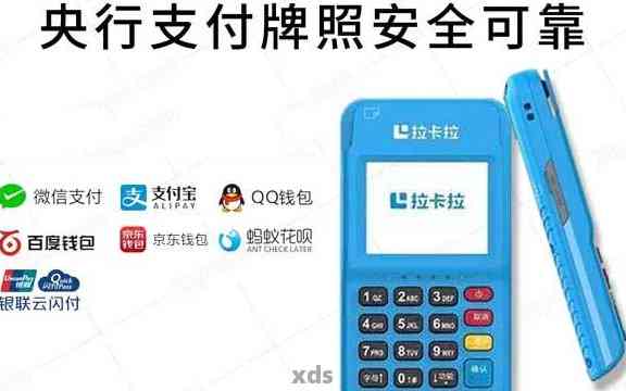 拉卡拉POS机办理费用与安全性解析