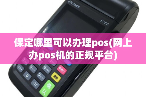 保定正规POS机办理全攻略，轻松上手，安全无忧