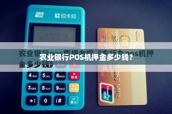 农业银行个人POS机办理与押金问题详解