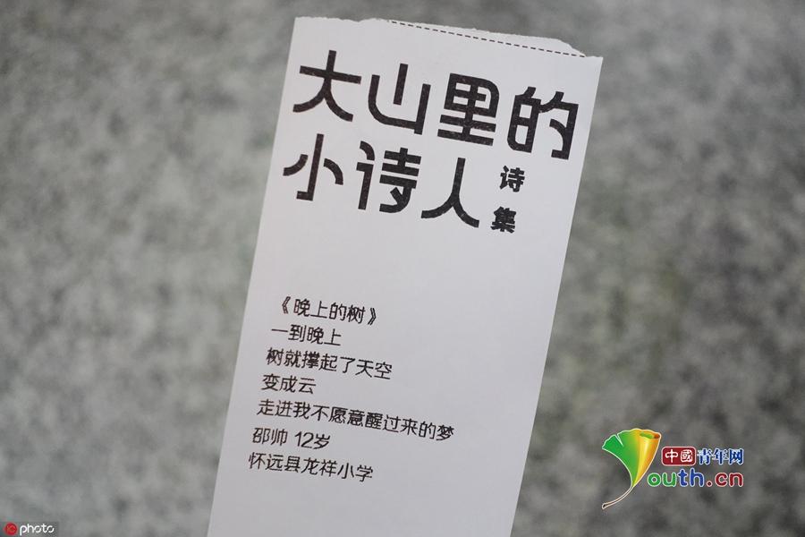 办理POS机IC卡的全流程指南