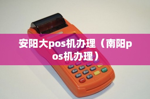 安阳大POS机办理全攻略，流程、要点与案例详解