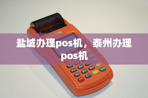 泰州个人POS机办理全攻略，轻松上手，高效支付
