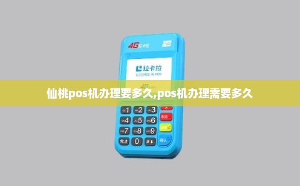 仙桃个人POS机办理全攻略，轻松上手，便捷支付