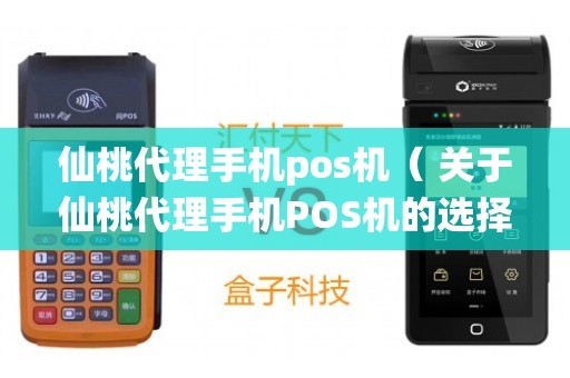 仙桃个人POS机办理全攻略，轻松上手，便捷支付