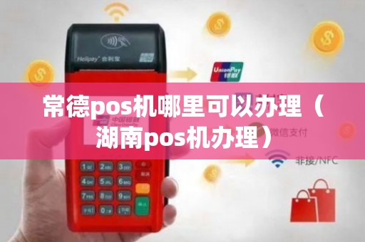 常德移动POS机办理全攻略，步骤、要点与案例详解