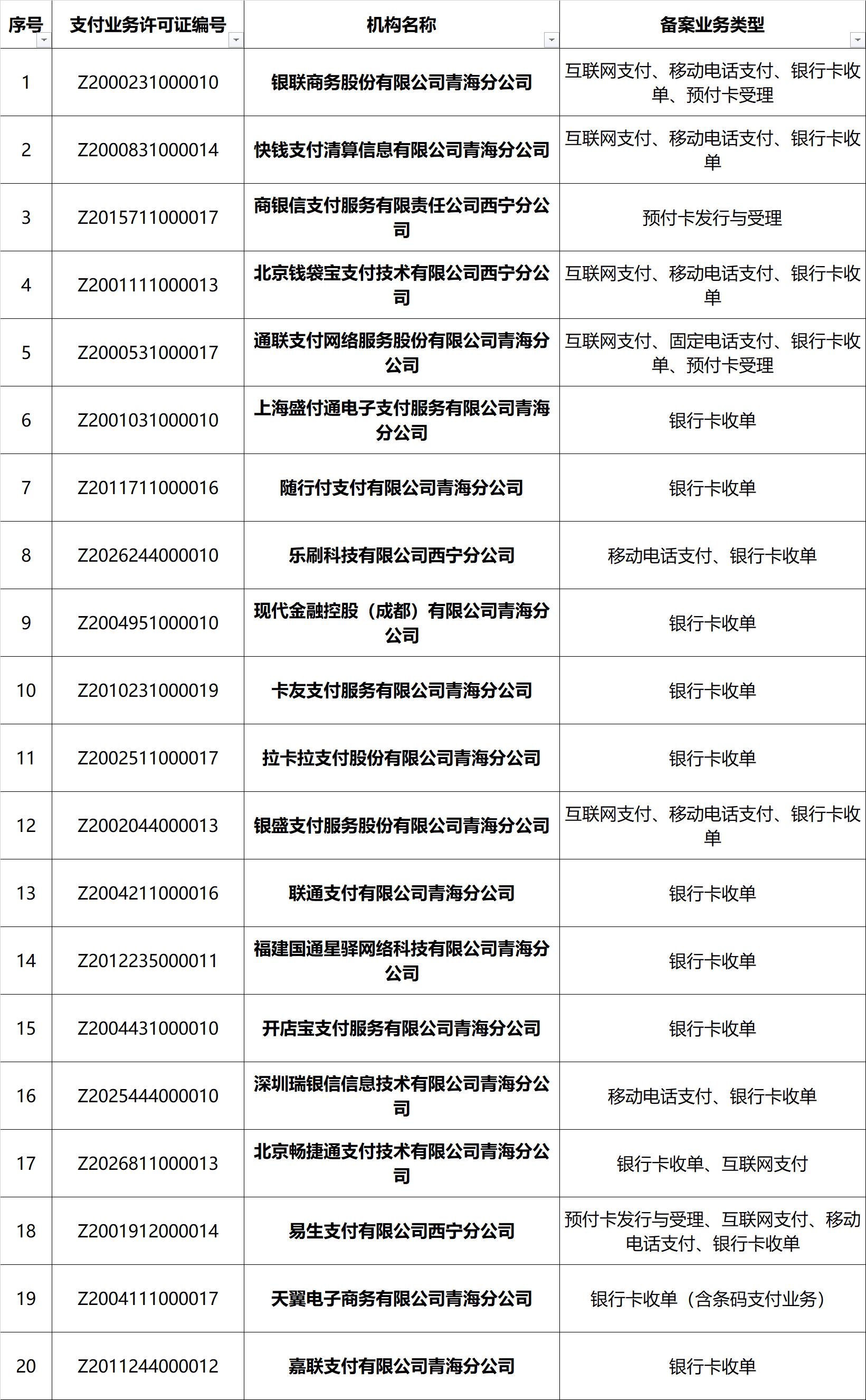 青海大POS机办理全攻略，流程、要点与案例详解