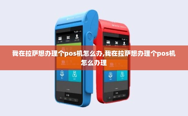 拉萨在线办理POS机全攻略，轻松上手，高效收款