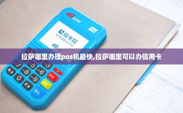拉萨在线办理POS机全攻略，轻松上手，高效收款