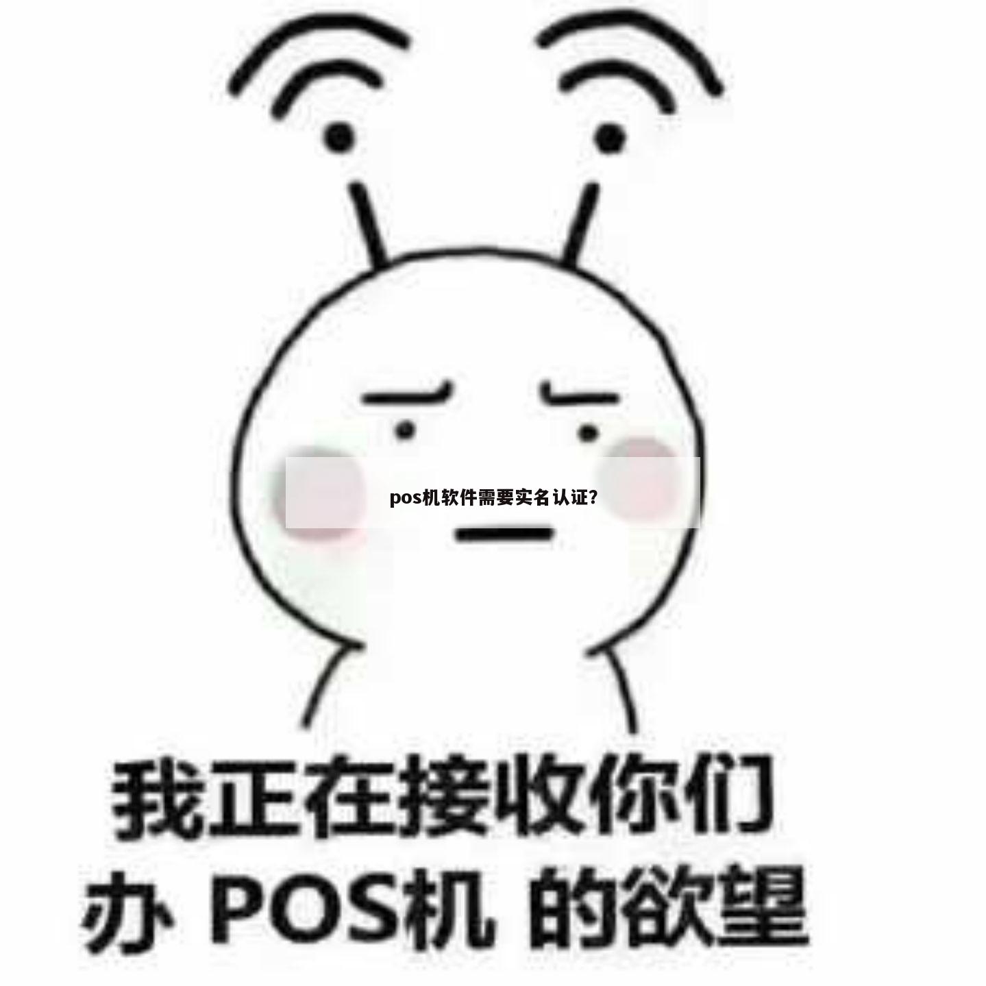 国税法人实名认证人员办理POS机指南