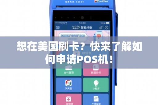 美国POS机办理全攻略，流程、要点与案例详解