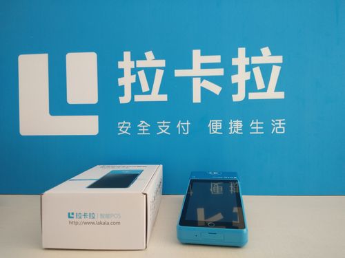 外币POS机办理情况调查报告