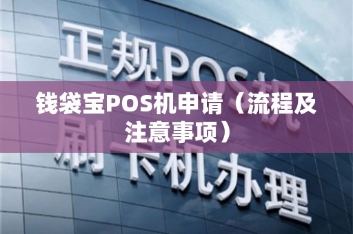 POS机办理全攻略，钱袋子的安全守护者