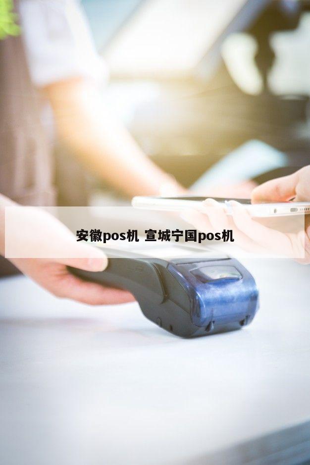 安徽宁国市个人POS机办理指南