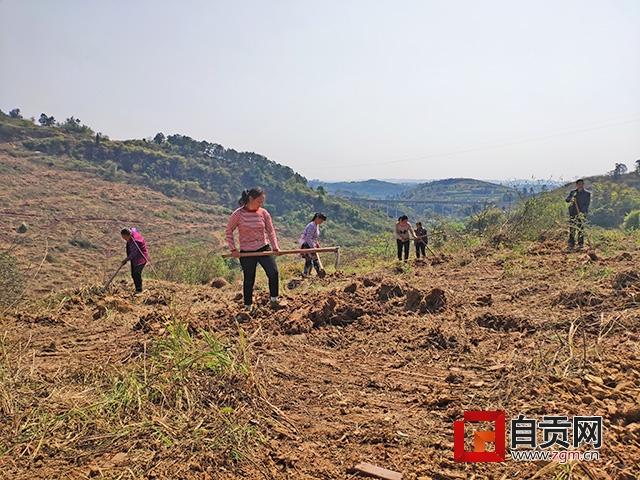 仙桃招商银行扫码POS机办理指南