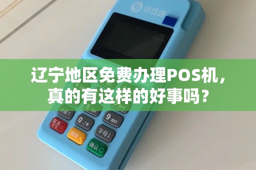 辽宁POS机办理全攻略，哪里办理最便捷？