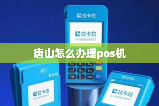 唐山硅谷POS机办理全攻略，流程、要点与案例解析