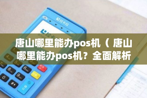 唐山硅谷POS机办理全攻略，流程、要点与案例解析